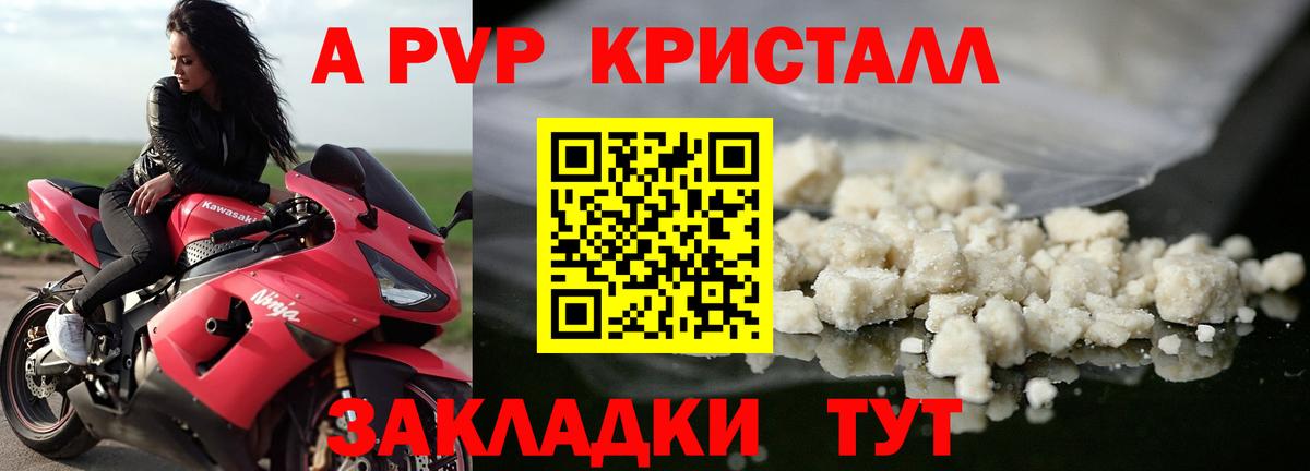 A-PVP СК Донской