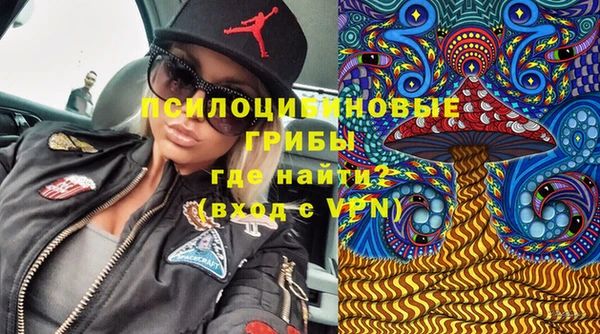 гашик Гусь-Хрустальный