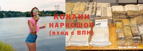 гашик Гусь-Хрустальный