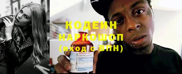 гашик Гусь-Хрустальный