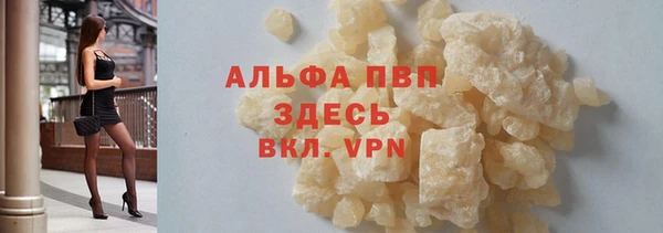 гашик Гусь-Хрустальный