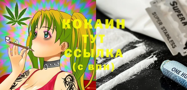 гашик Гусь-Хрустальный