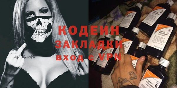 гашик Гусь-Хрустальный
