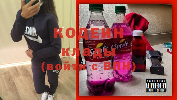 гашик Гусь-Хрустальный