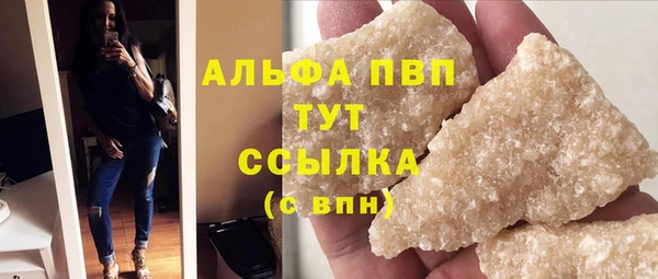 гашик Гусь-Хрустальный