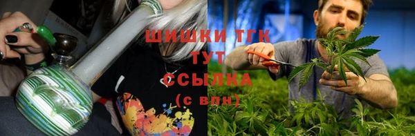 амф Грязи